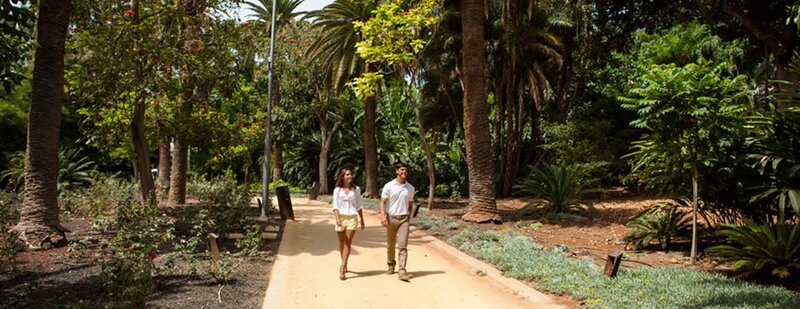 Jardín tropical con palmeras en el Parque García Sanabria